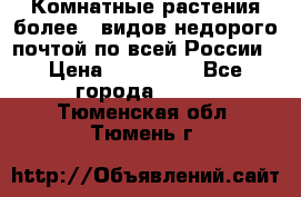 Комнатные растения более200видов недорого почтой по всей России › Цена ­ 100-500 - Все города  »    . Тюменская обл.,Тюмень г.